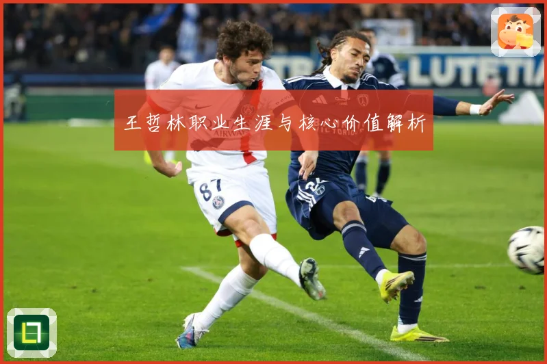 王哲林职业生涯与核心价值解析