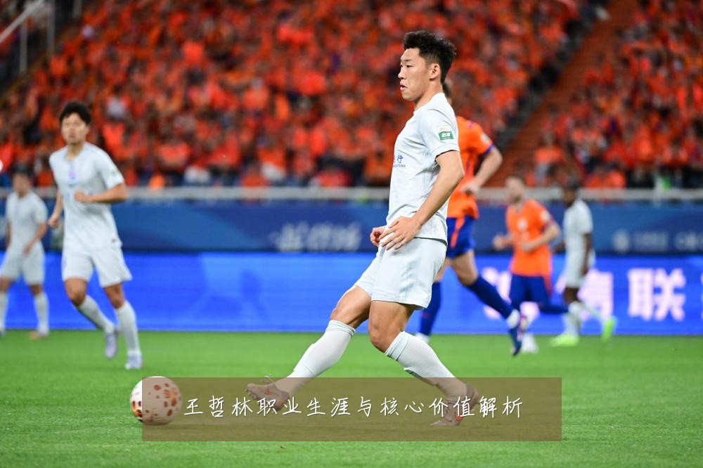 王哲林职业生涯与核心价值解析